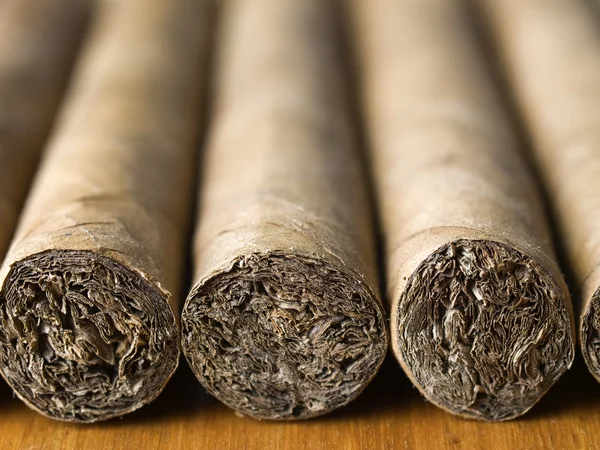 Zigarren in Reihen, Nahaufnahme — Stockfoto