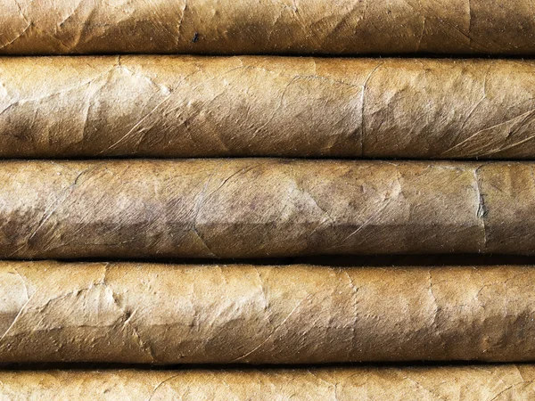 Habana cigars bacground nearest — Stock Photo, Image