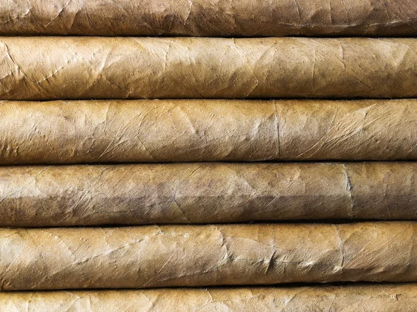 Habana cigares bacground — Photo