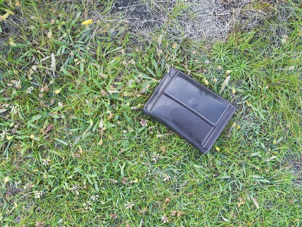草の中に失われた財布 — ストック写真