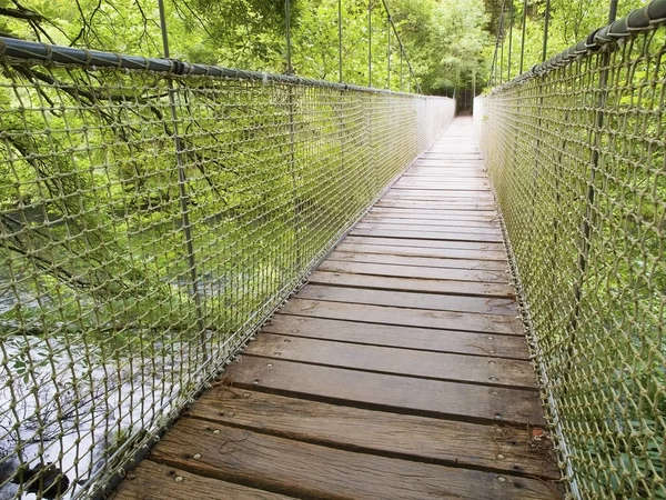 Visutý most v lese v prespective — Stock fotografie