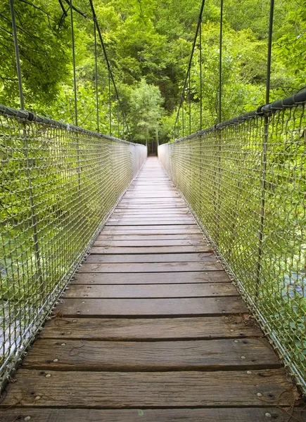 Висячий мост в лесу — стоковое фото