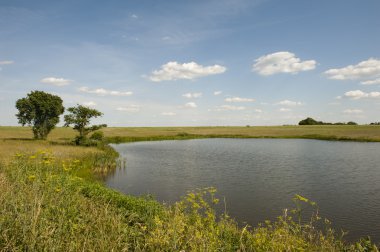 pastoral gölet