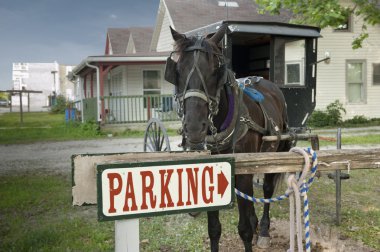Parking horse and buggy clipart