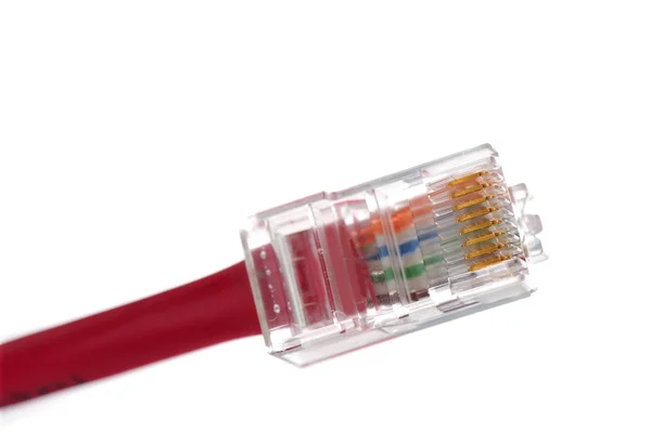 stock image Cat 5 cable end