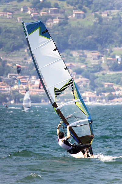 stock image Sport - Windsurfing