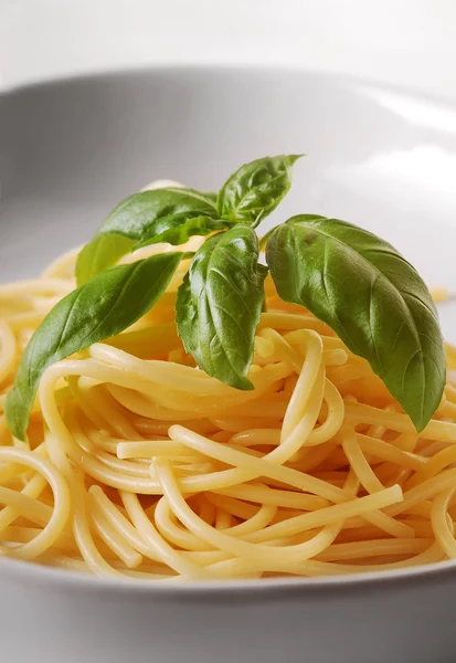 Gekochte Apaghetti — Stockfoto