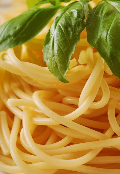 Gekochte Apaghetti — Stockfoto
