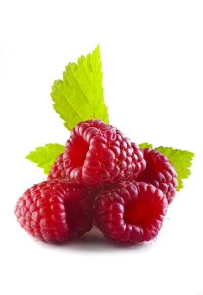 Rasberries — Stockfoto