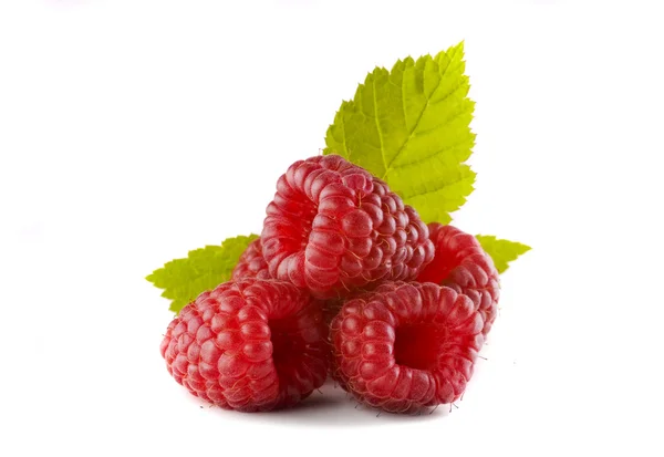 Rasberries — Zdjęcie stockowe