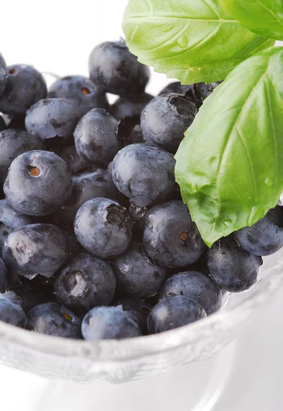 Blueberries in the glass — Stock Photo, Image