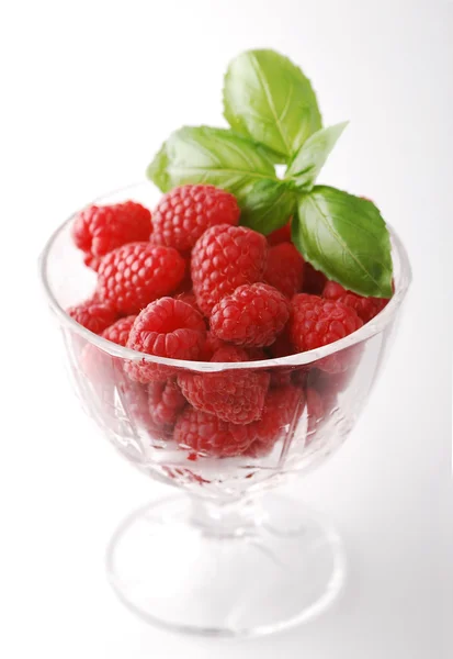 Rasberries — Zdjęcie stockowe