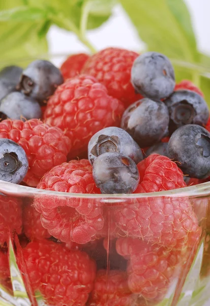 Rasberries en bosbessen — Stockfoto
