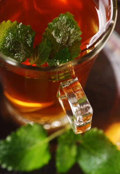 Hot melissa tea in the glass - closeup — Stock Photo, Image