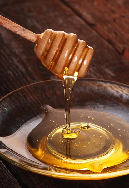 Golden honey — Stockfoto