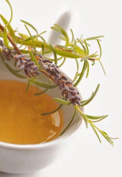 Golden honey with herbs — Stock Photo, Image