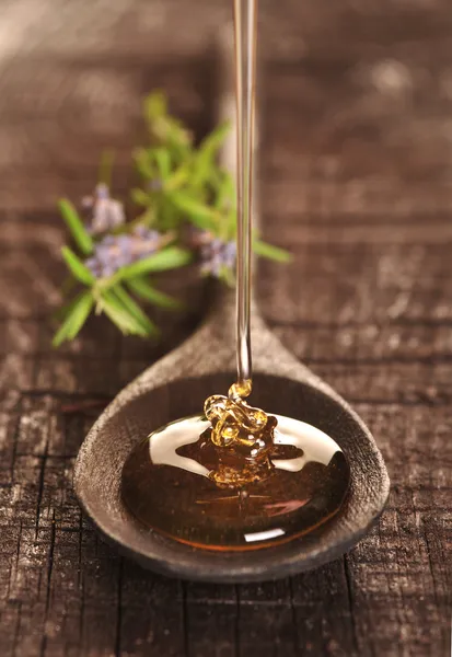 황금 벌 꿀 — 스톡 사진