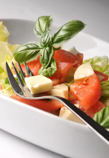 Marul, domates ve peynirli taze salata. — Stok fotoğraf