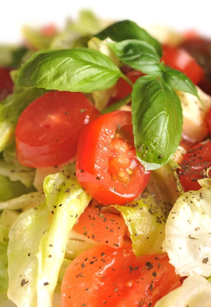 Świeża sałatka z sałatą, pomidorami i serem — Zdjęcie stockowe