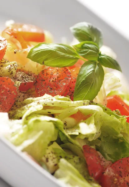 Marul, domates ve peynirli taze salata. — Stok fotoğraf