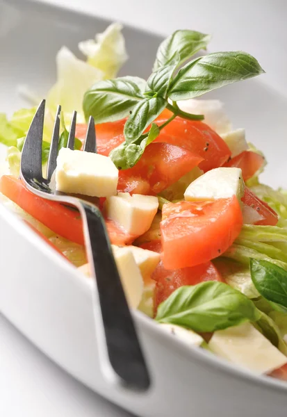 Ensalada fresca con lechuga, tomate y queso — Foto de Stock