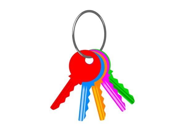 Keys on a white background — Stock Vector