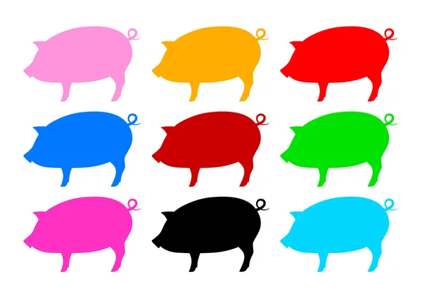 돼지의 컬렉션 — 스톡 벡터