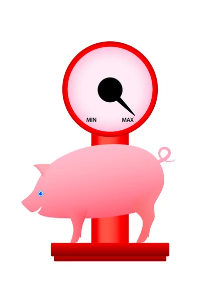 Cerdo en la escala — Vector de stock
