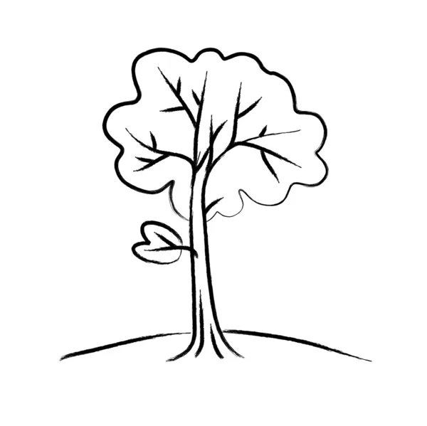 Drawing of tree — Stock Vector