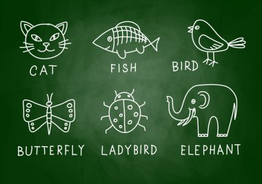 yazı tahtası üzerinde hayvan çizimleri