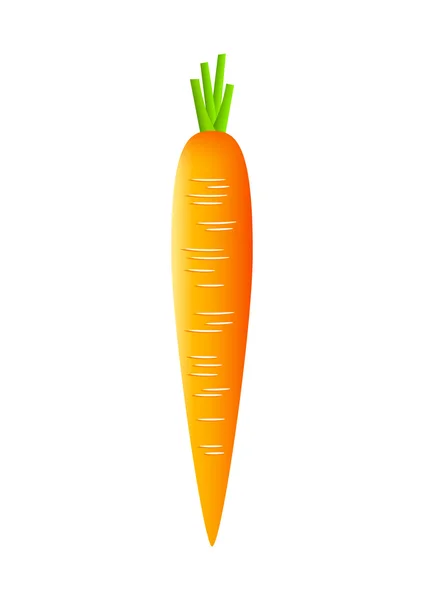 stock vector Carrot on white background