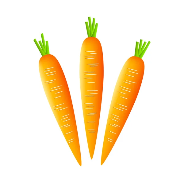 Carrots on white background — Stock Vector