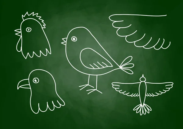 Drawing of birds on blackboard — Stock Vector