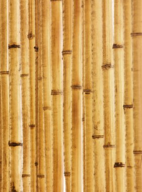 Old beige bamboo fence fragment clipart