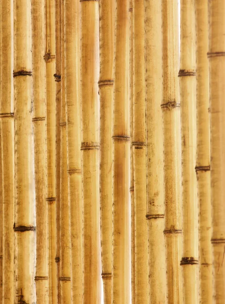 古いベージュ竹のフェンスのフラグメント — ストック写真