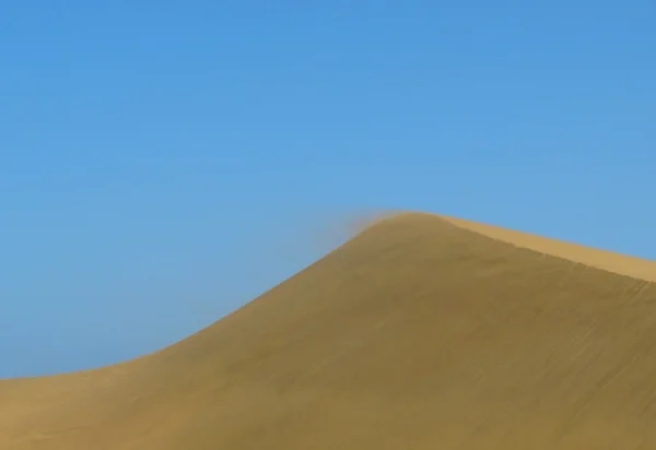 stock image The desert