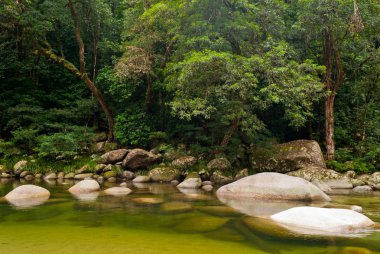 Mossman Gorge, Daintree Ulusal Parkı, Avustralya