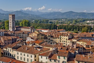 Lucca panoramik görünümü, Toskana, İtalya