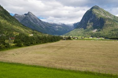 çarpıcı Norveç dağ manzarası