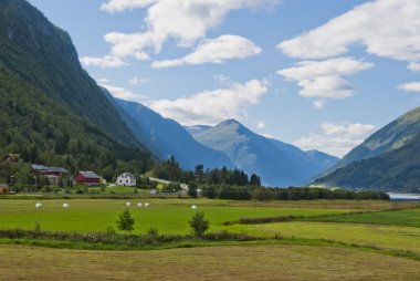 çarpıcı Norveç dağ manzarası