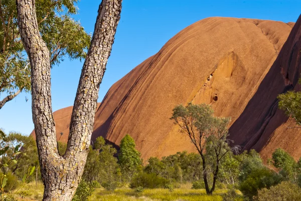 Ayers rock (uluru), Ausztrália — Stock Fotó