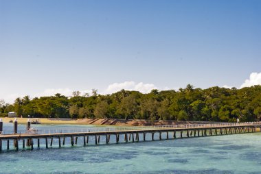 Cennet tropik adası (Green Island, Queensland, Avustralya)