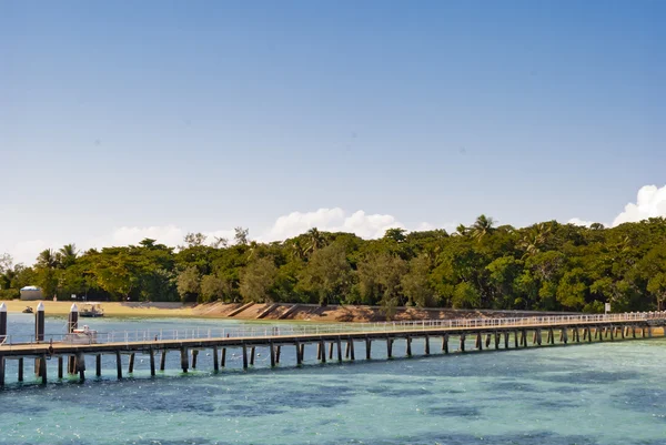 낙원 열대 섬 (Green Island, Queensland, Australia) — 스톡 사진
