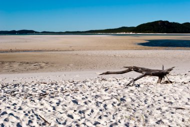 Whitsundays ada beyaz beach, Avustralya