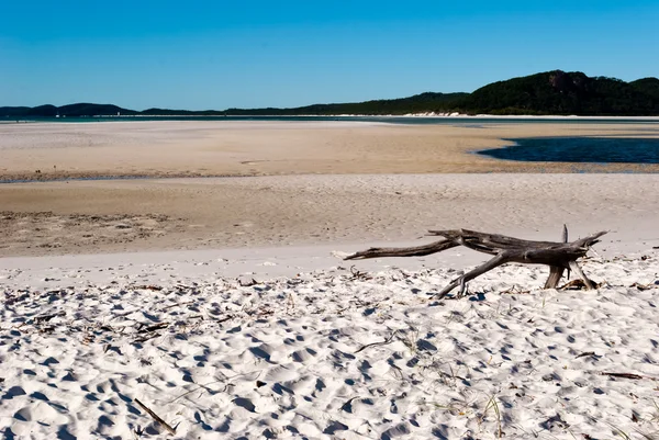 Stock image Whitsundays Island white beach, Australia