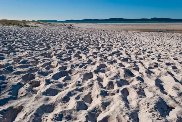 stock image Whitsundays Island white beach, Australia