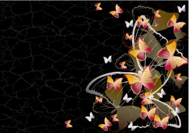 Butterfly background clipart