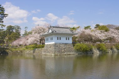 Odawara kale kule, Japonya. Ulusal tarihi site