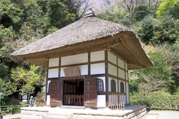 Meigetsu-i templet, kamakura, japan — Stockfoto