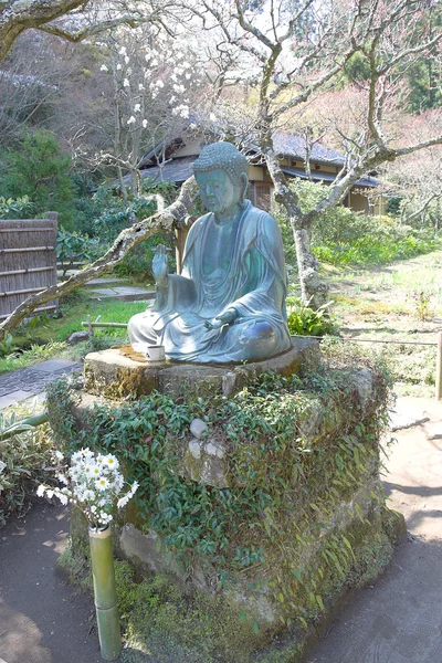 Άγαλμα του Βούδα στην Ιαπωνία ναός, Καμακούρα, tokeiji — Φωτογραφία Αρχείου